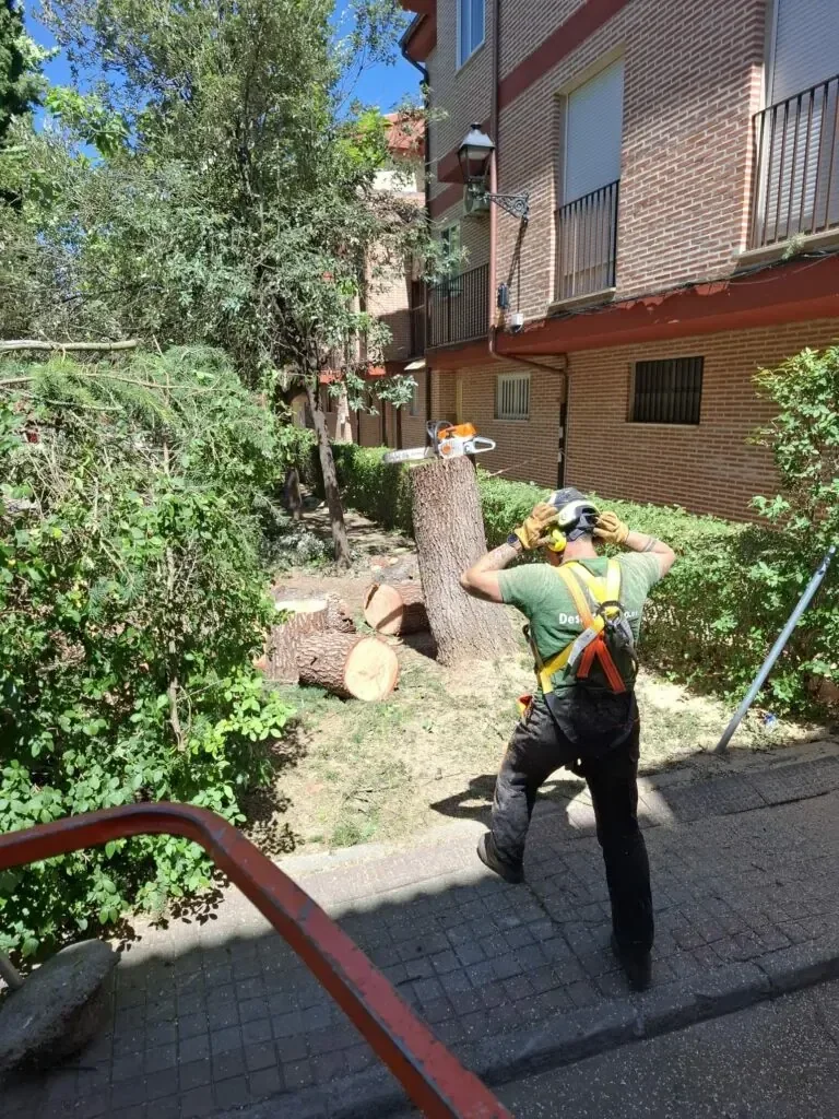 Desbroce profesional de fincas y maquinaria