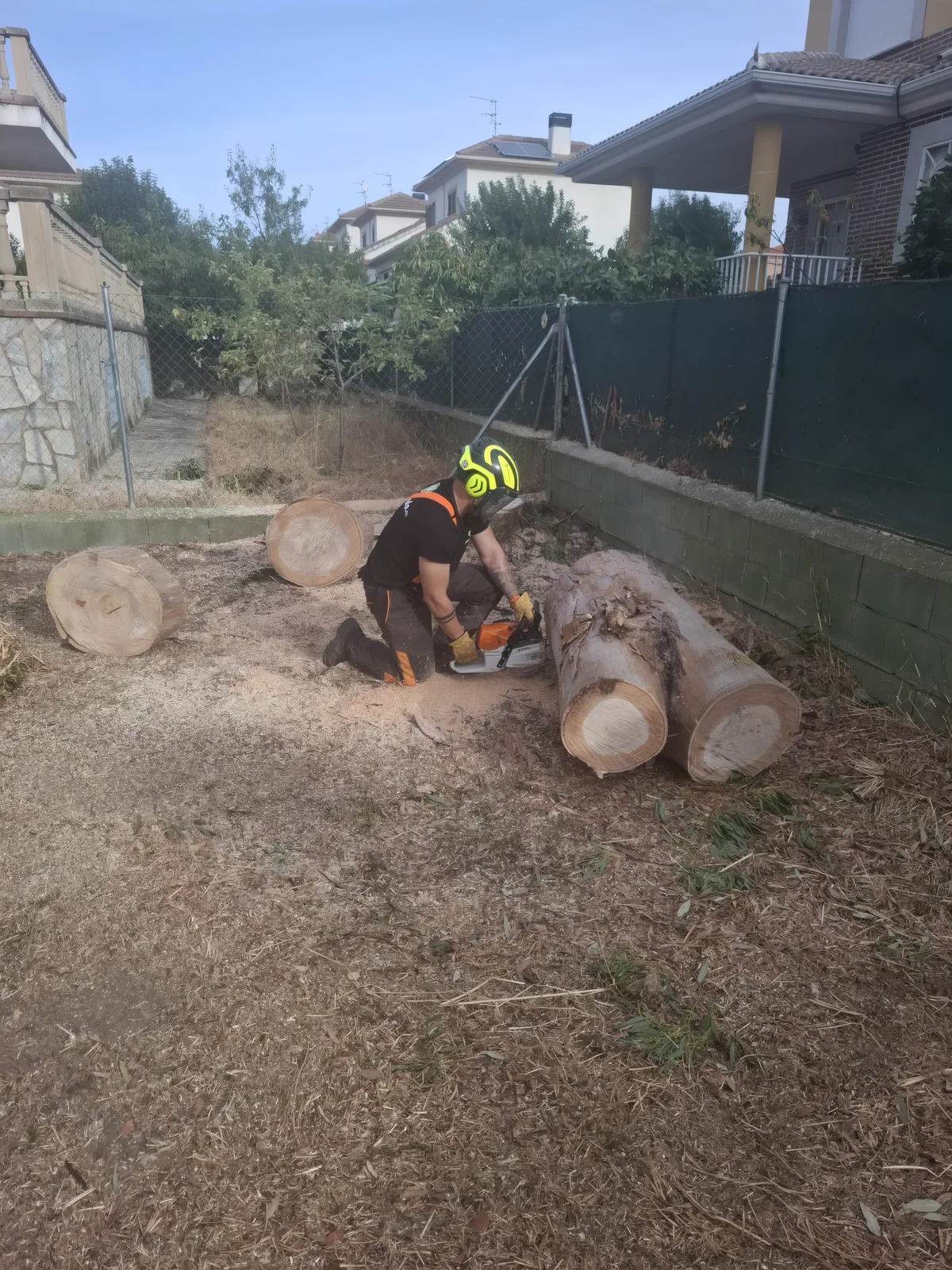 Trabajo de desbroce y mantenimiento 12